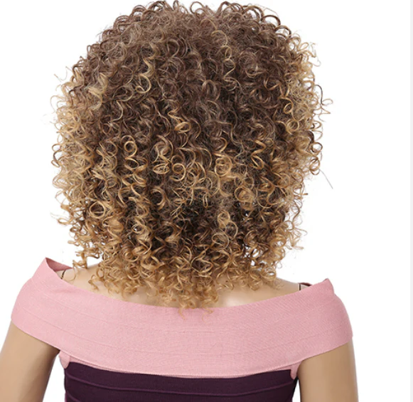 Latisha Heat Resistant Kinky Curly Wig - Image 2